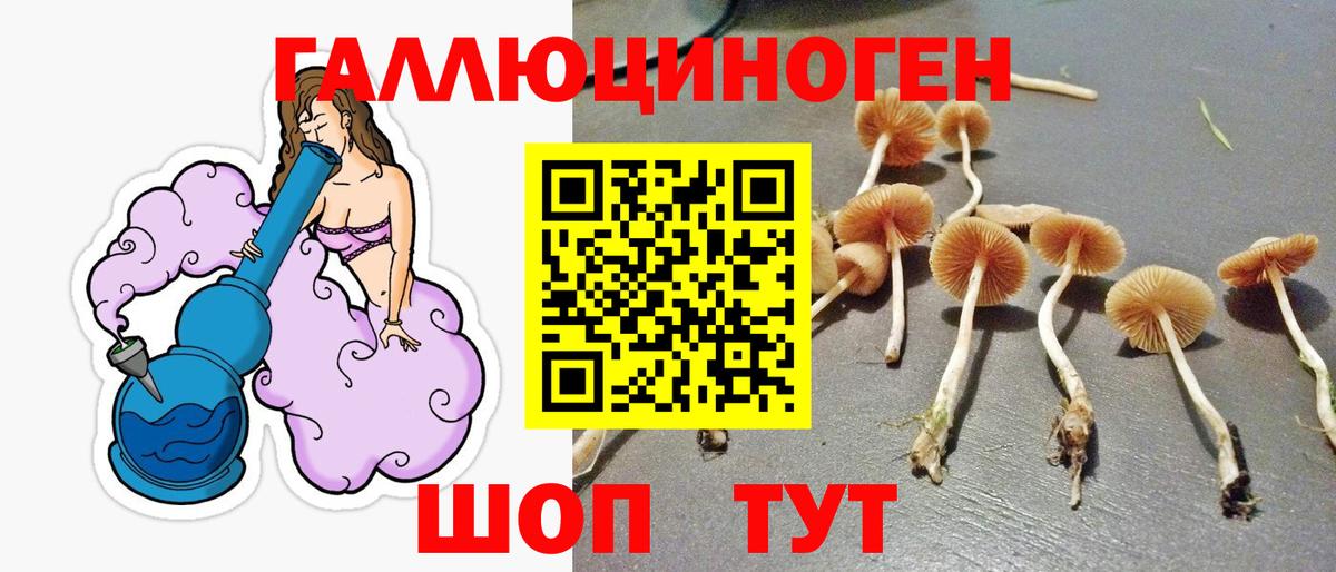 что такое   Галлюциногенные грибы Psilocybe  Ростов-на-Дону  Вход с VPN  Галлюциногенные грибы ЛСД 